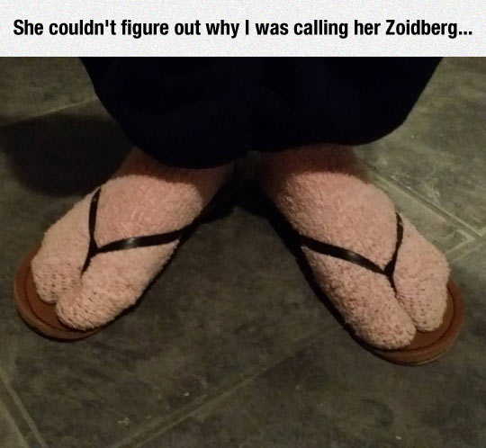 Zoidberging Is The New Trend