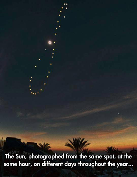 This Movement Is Called Analemma