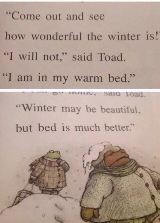 Toad Has A Very Good Point