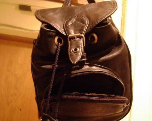 upset-items-purse