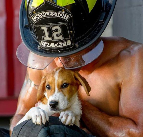 charleston-firefighters-with-puppies-calendar-10-1