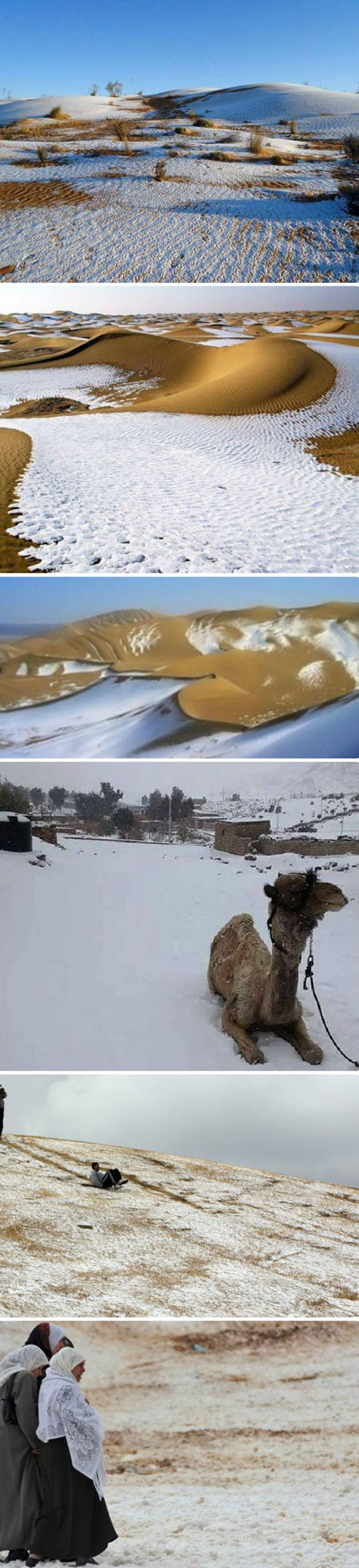 Snow in the Algerian Sahara