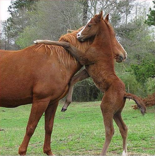 A Big Hug For Mommy