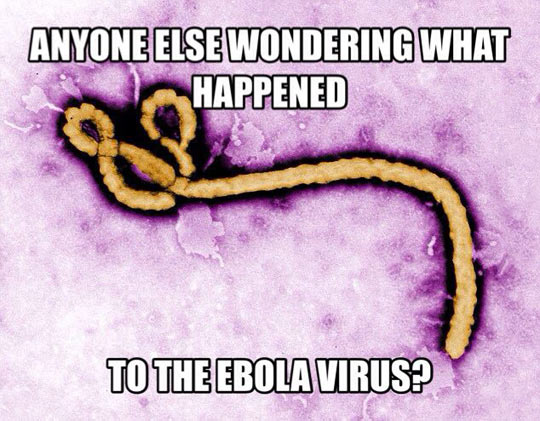 Ebola Virus Just Disappeared