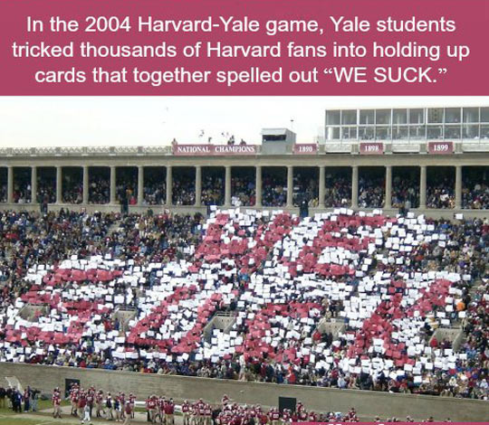 funny-Harvard-Yale-cards-message