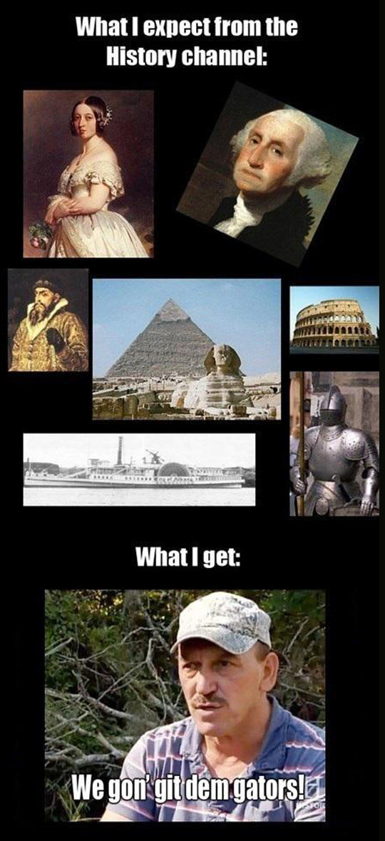 History Channel Expectations