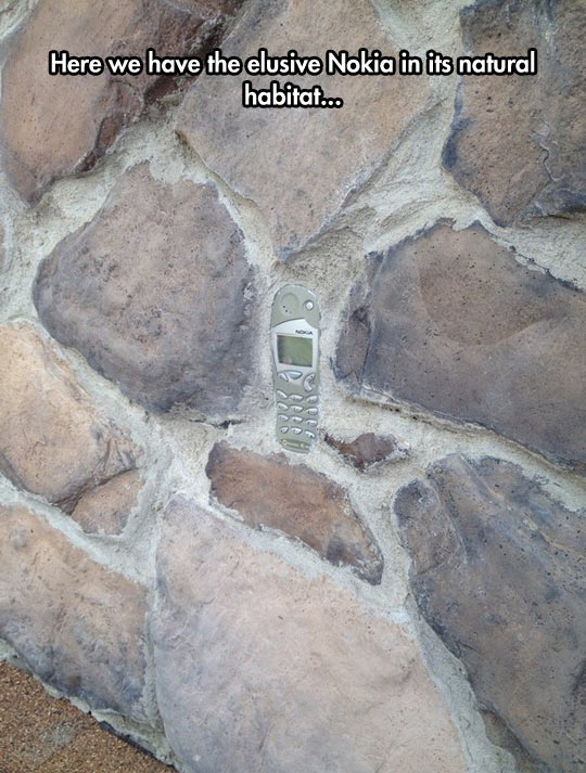 Nokia Phone