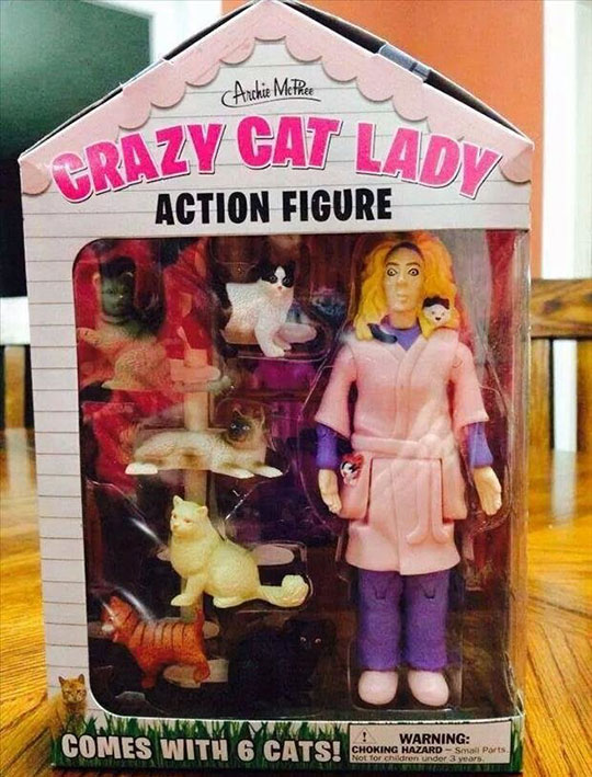 funny-cat-lady-action-figure