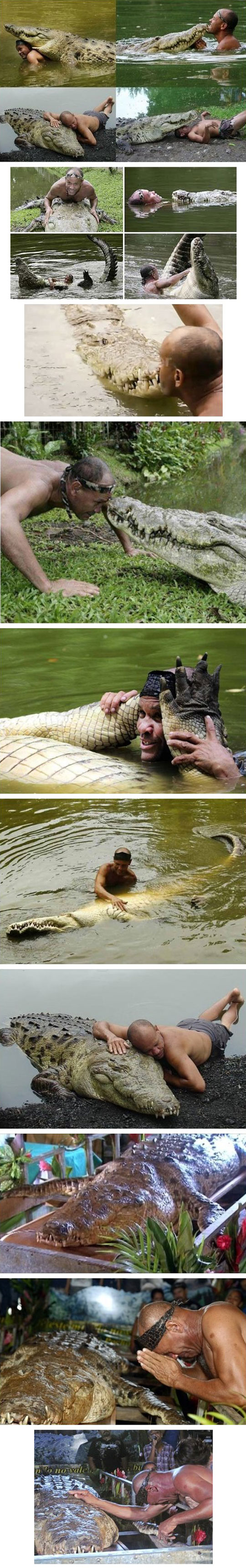 funny-crocodile-friendly-funeral