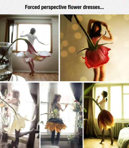 funny-forced-perspective-flower-dresses