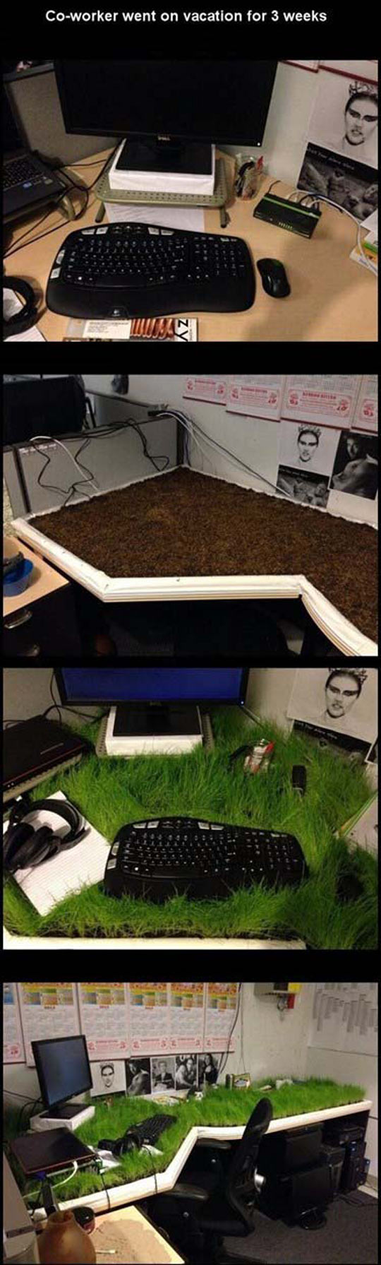 Hope You Like Your New Environmental Desk