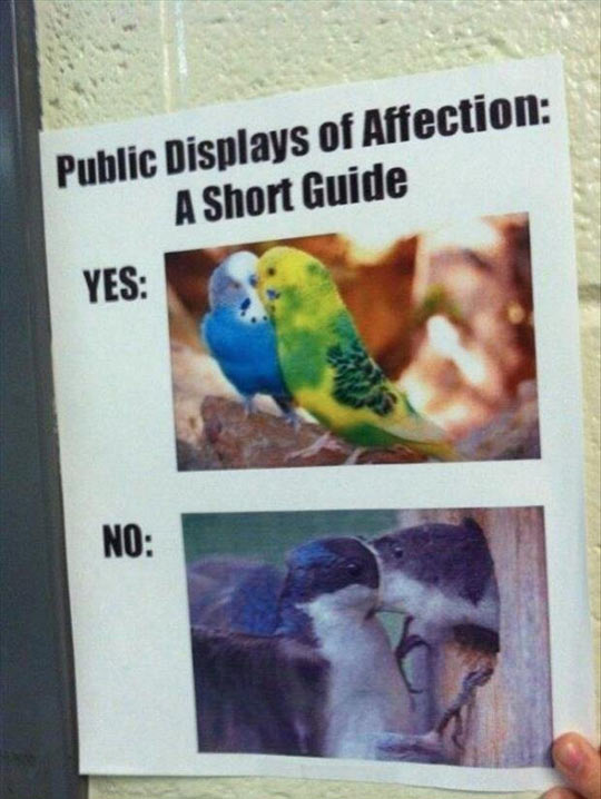Instructions For Showing Affection In Public