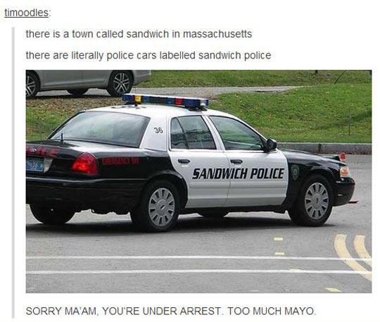 Sandwich Police Saves The Day Again
