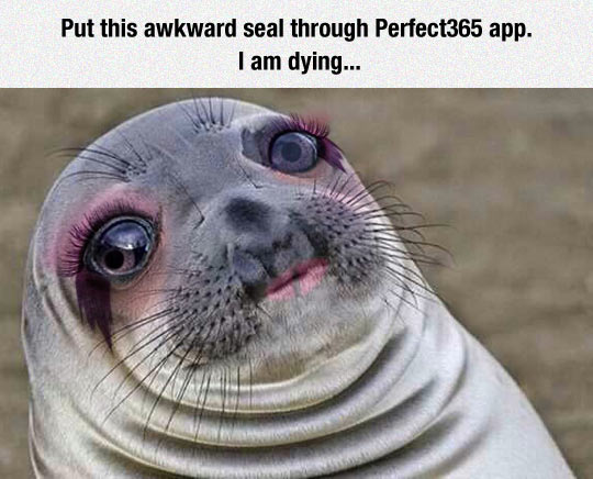 Awkward Glamour Seal