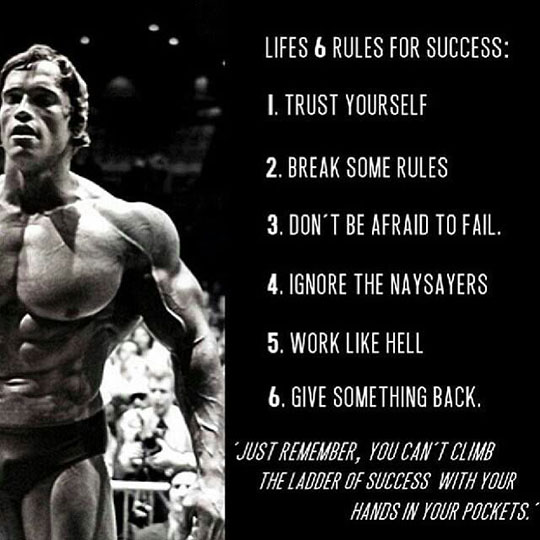 cool-Arnold-rules-success-fail