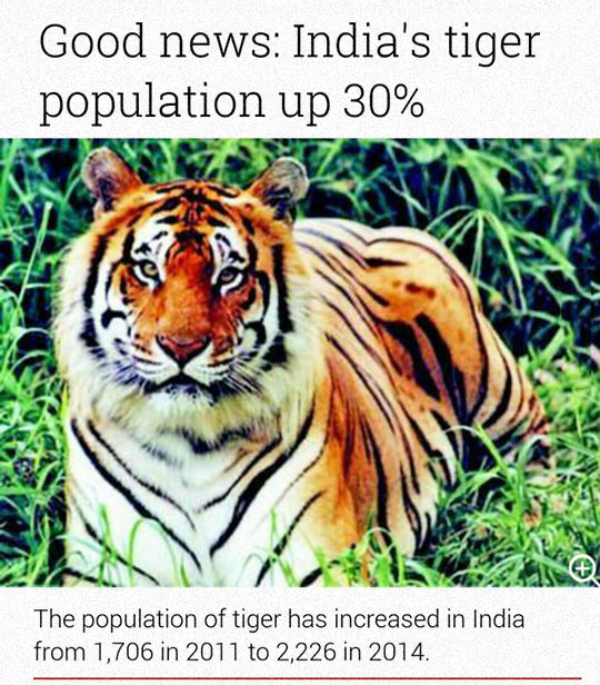 cool-India-tiger-population-growth