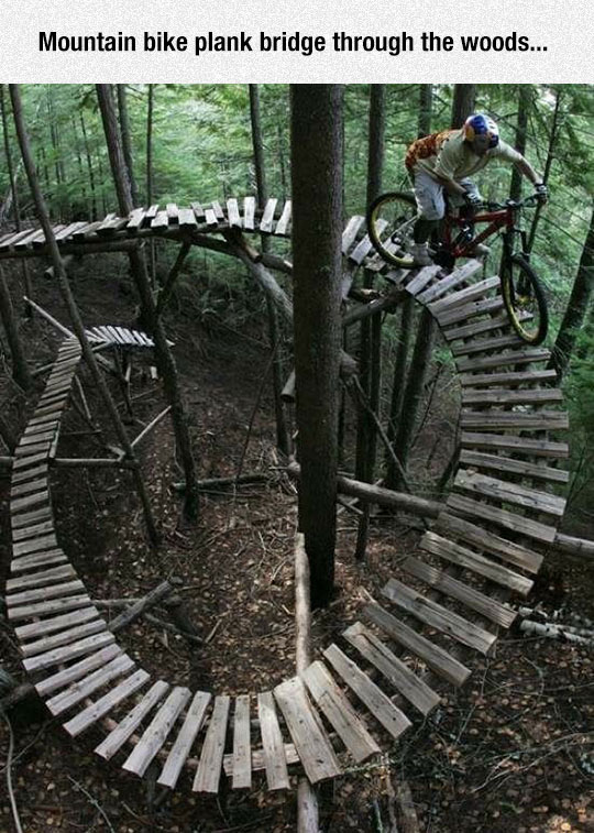 cool-mountain-bike-plank-bridge-woods
