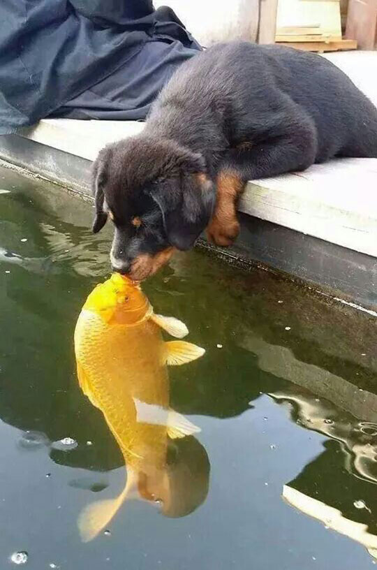 The Best Kiss Ever