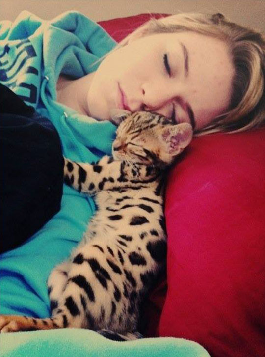 cute-girl-sleeping-Bengal-kitty