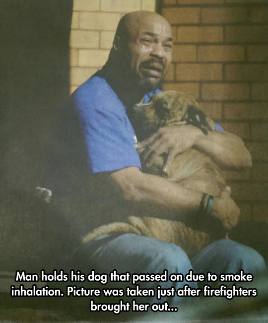 dog-passed-smoke-inhalation-fire