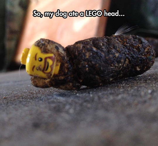 funny-Lego-dog-poop-ate-rescue