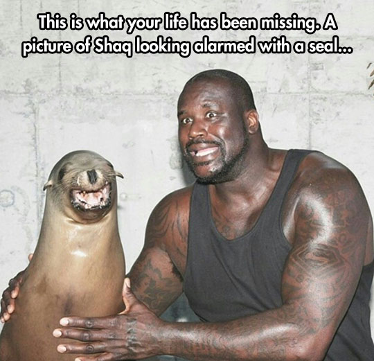 Shaq Is The Most Awesome Being In The Planet