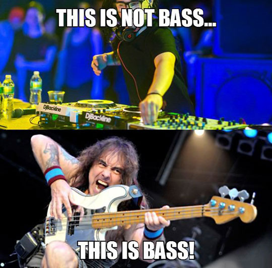 The Real Bass