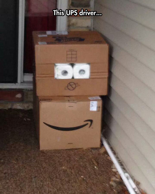 funny-UPS-packages-boxes-toilet-paper