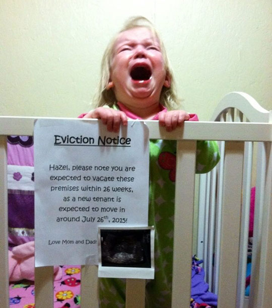 funny-baby-crying-crib-eviction-notice
