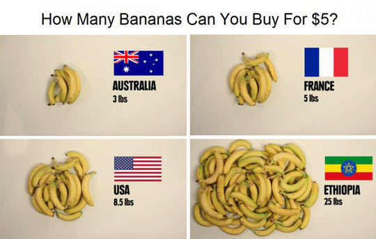 Price of bananas in australia