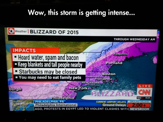 Blizzard Impacts