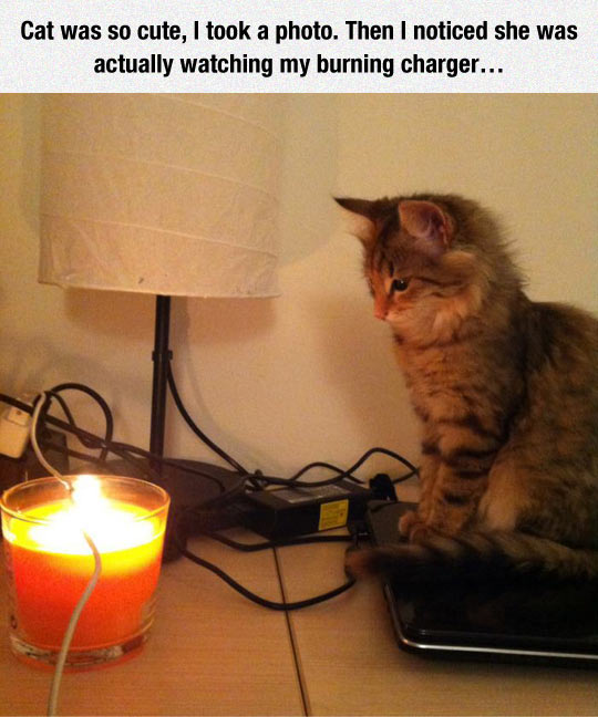 funny-cat-cute-candle-charger-wire
