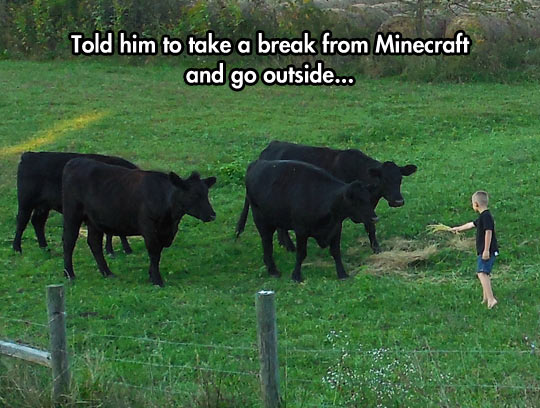 Real Life Minecraft