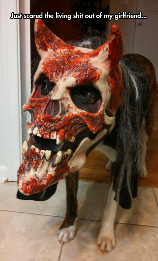 funny-dog-mask-terror-skull-demon