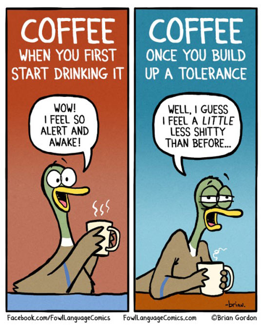 Coffee Tolerance Is A True Thing