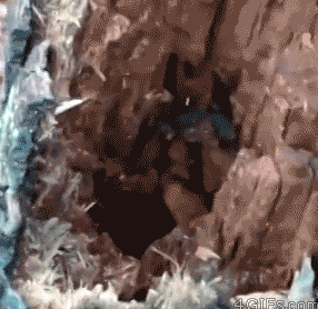 funny-gif-ferret-white-hole