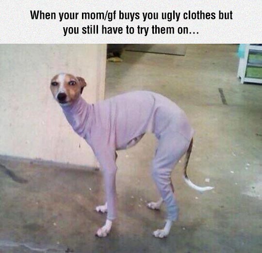 funny-skinny-dog-clothes