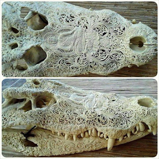 Carved Skull Of An Alligator