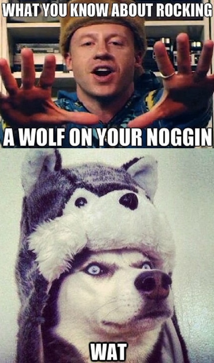 A WOLF ON YOUR NOGGIN.