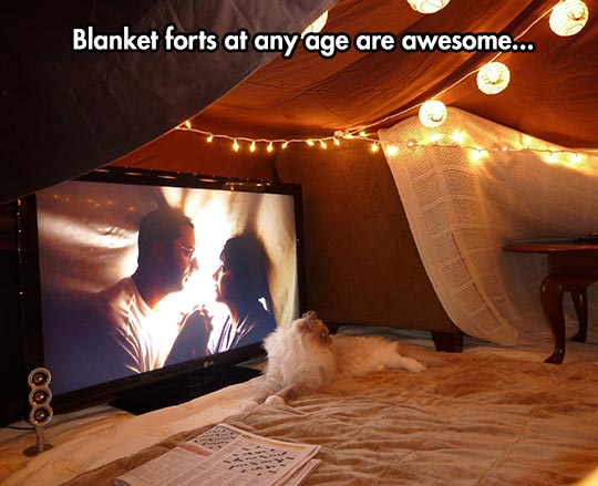 Spread The Blanket Fort Love