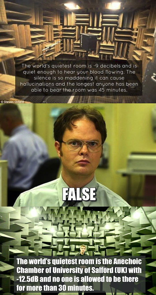 cool-silent-room-Dwight-Standford
