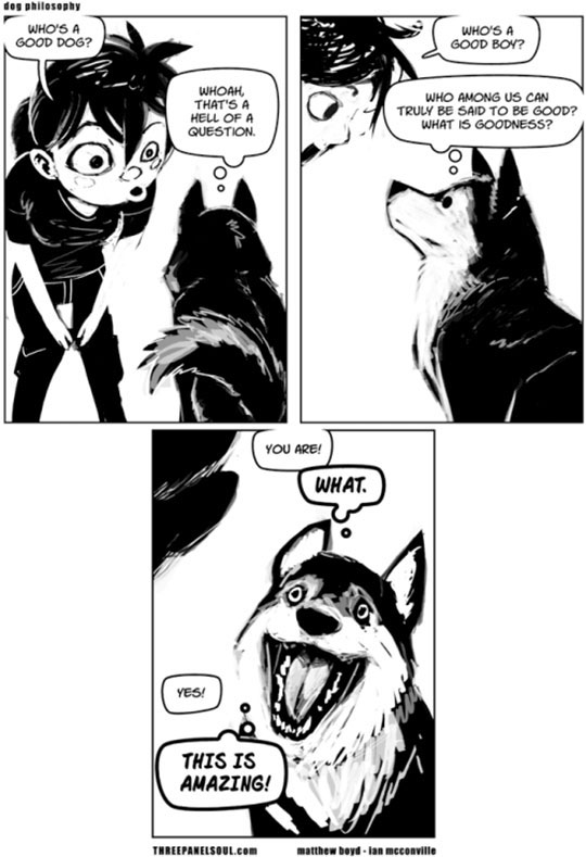 The Dog Philosophy