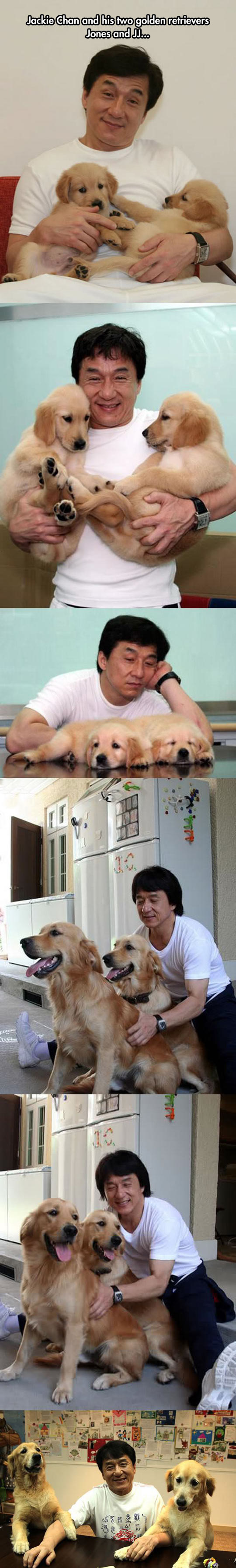 Jacky Chan Is A Dog Lover