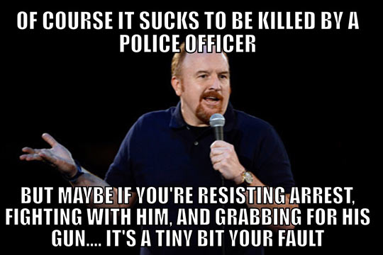 funny-Louis-CK-police-fight