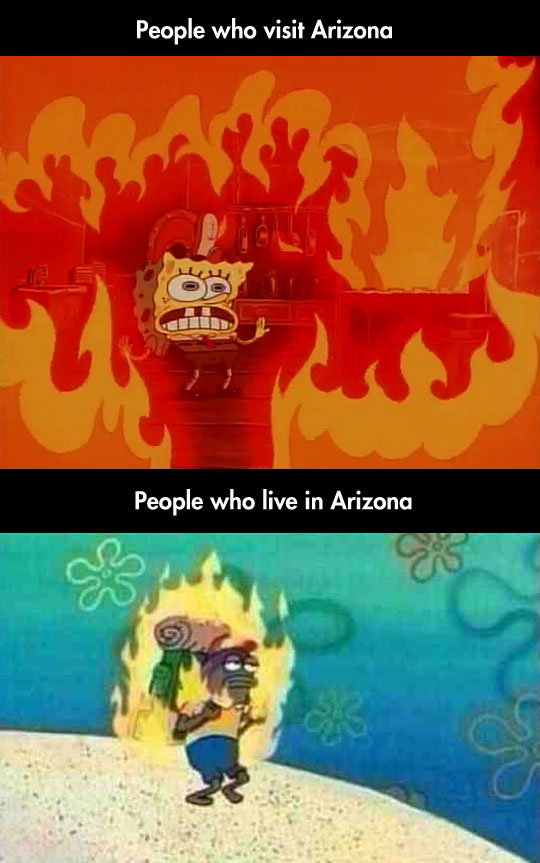funny-SpongeBob-people-Arizona-heat-temperature