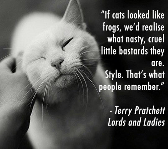 funny-Terry-Pratchett-cat-frog