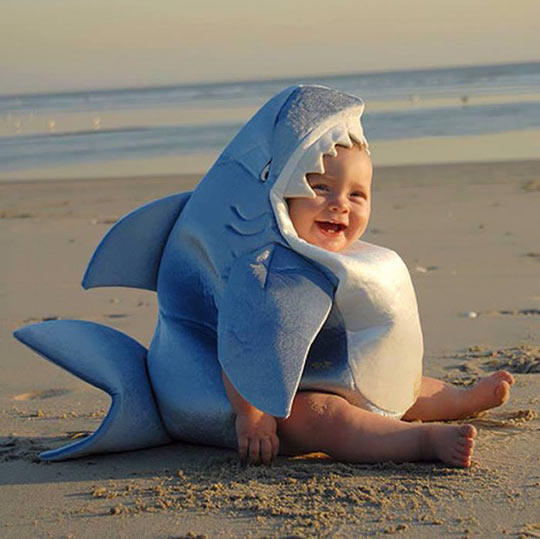 Baby Shark Is Happy