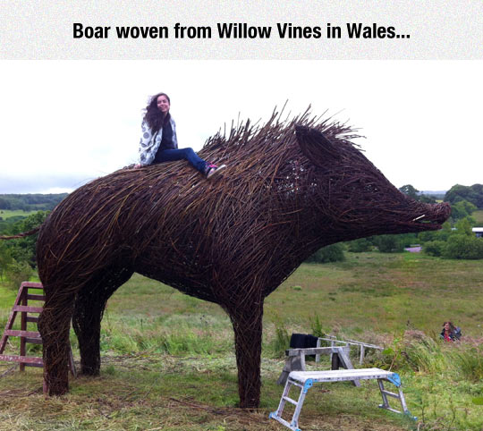 funny-boar-woven-willow-vines-sculpture