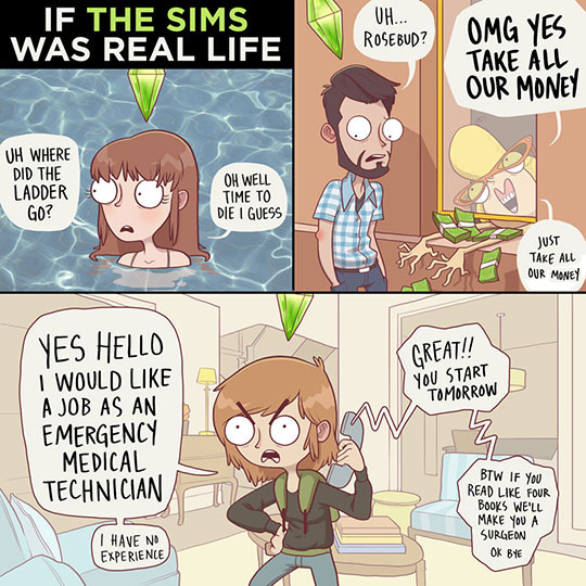 If The Sims Was Real Life