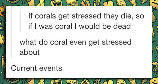 The Life Of Corals Suck